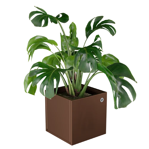 Cubo virágláda  XS