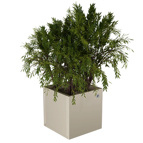 Cubo virágláda  XS