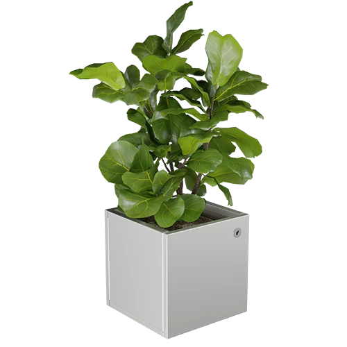 Cubo virágláda  XS