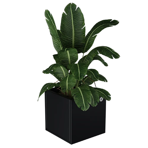 Cubo virágláda  XS