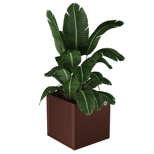 Cubo virágláda  XS