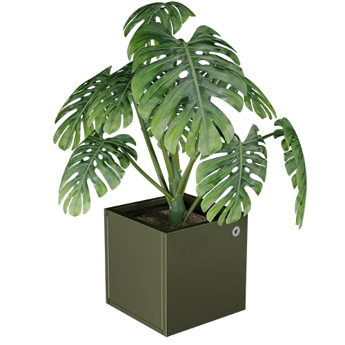 Cubo virágláda  XS