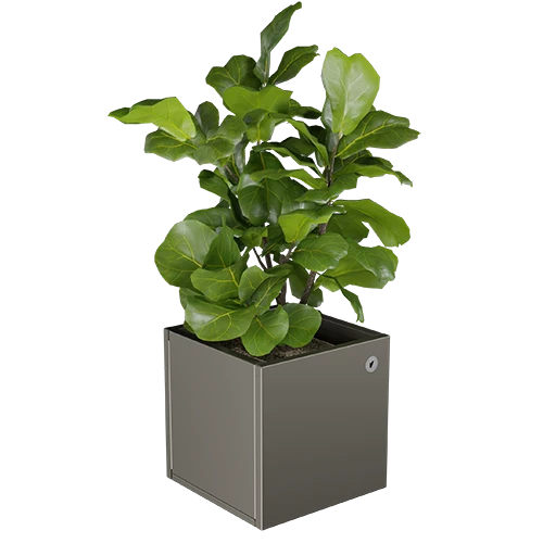 Cubo virágláda  XS