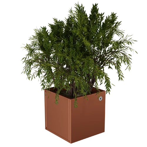 Cubo virágláda  XS