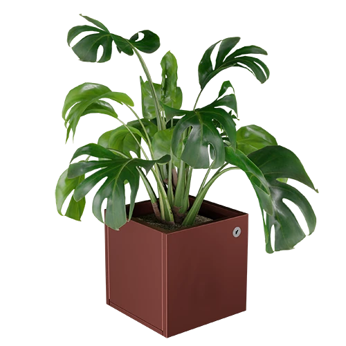 Cubo virágláda  XS