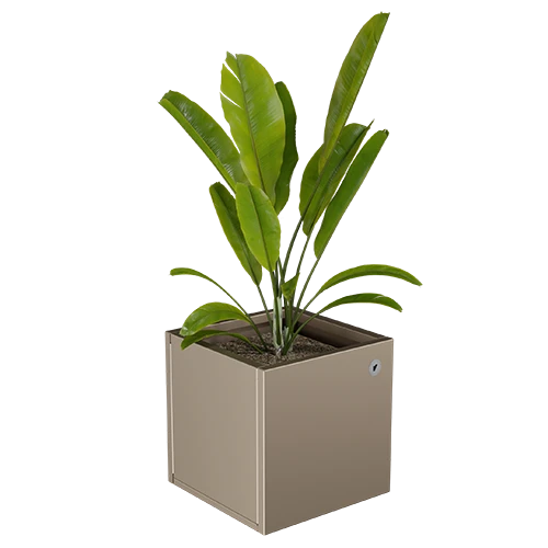 Cubo virágláda  XS