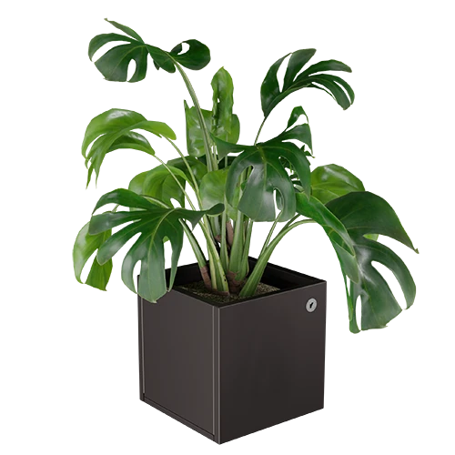 Cubo virágláda  XS