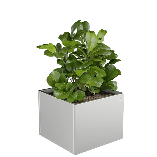 Cubo virágláda L