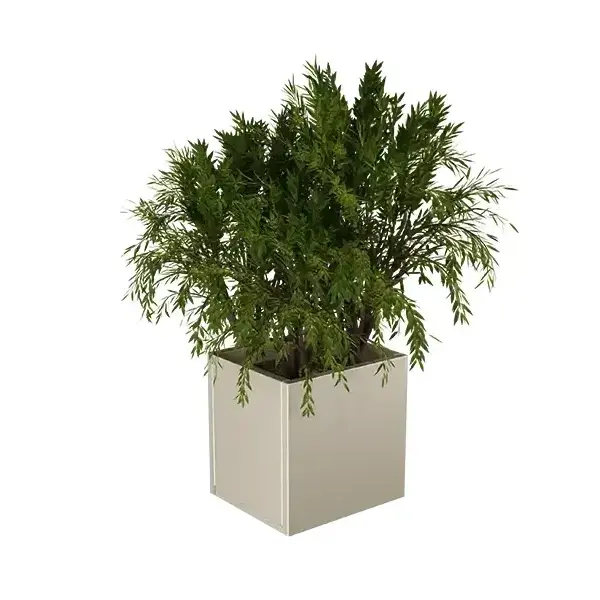 Lineo virágláda XS