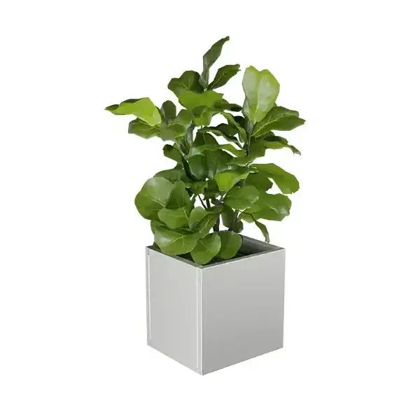 Lineo virágláda XS