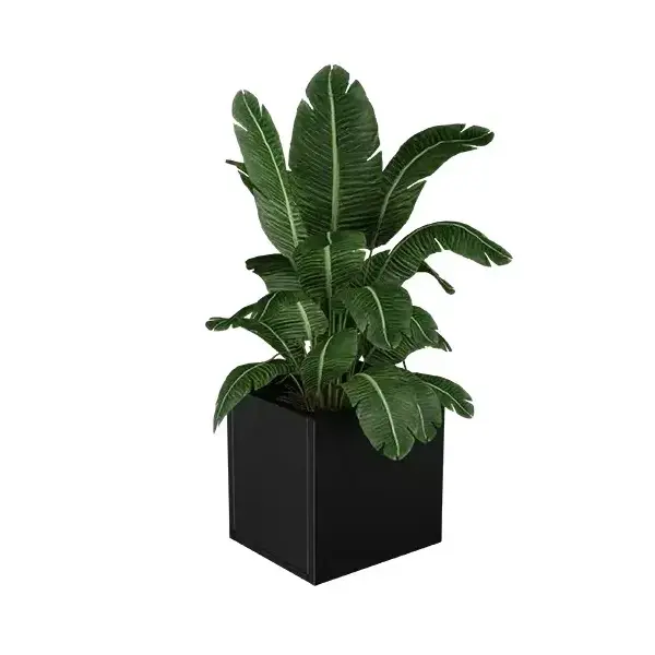 Lineo virágláda XS