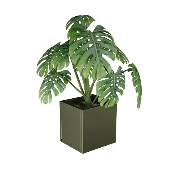 Lineo virágláda XS