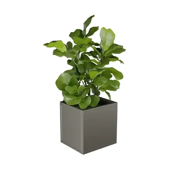 Lineo virágláda XS