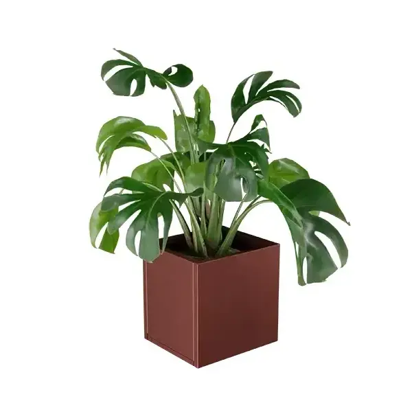 Lineo virágláda XS