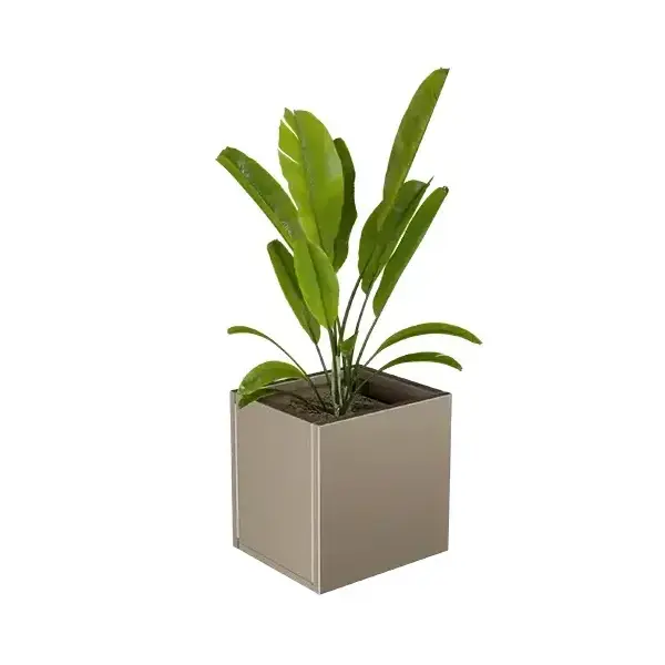 Lineo virágláda XS