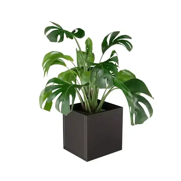 Lineo virágláda XS