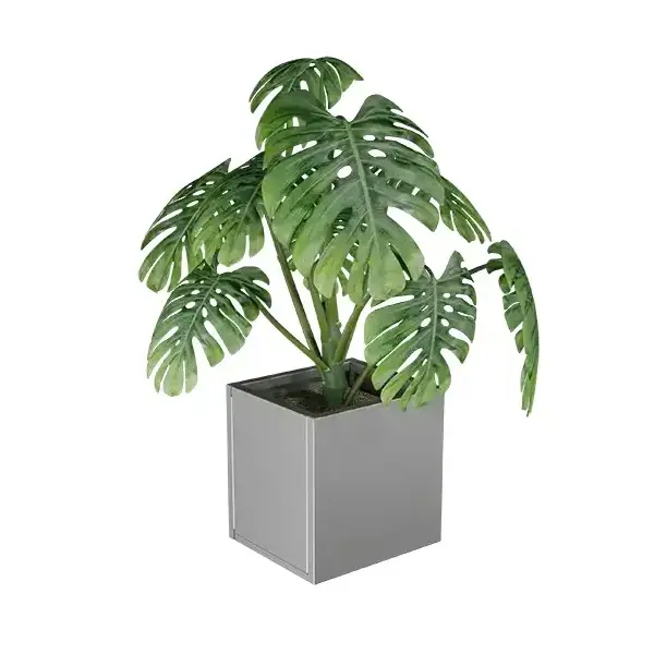 Lineo virágláda XS