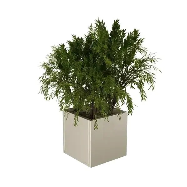 Cubo virágláda  XS