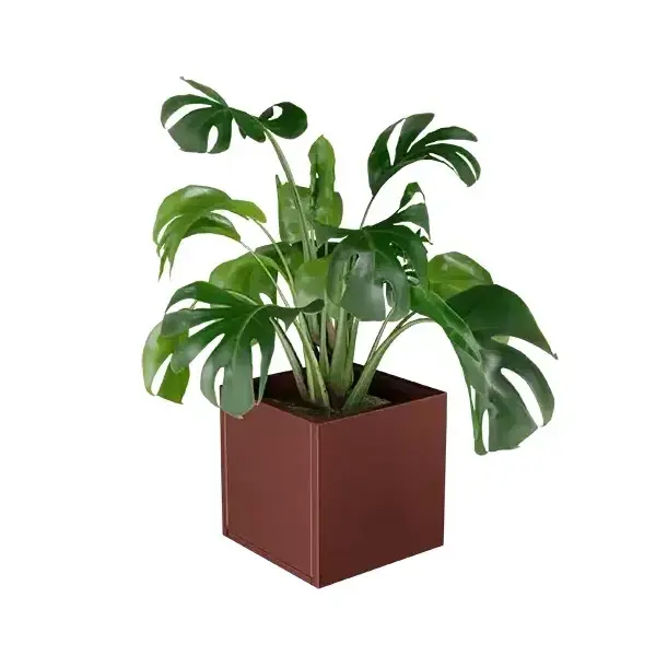 Cubo virágláda  XS