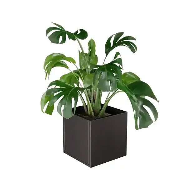 Cubo virágláda  XS